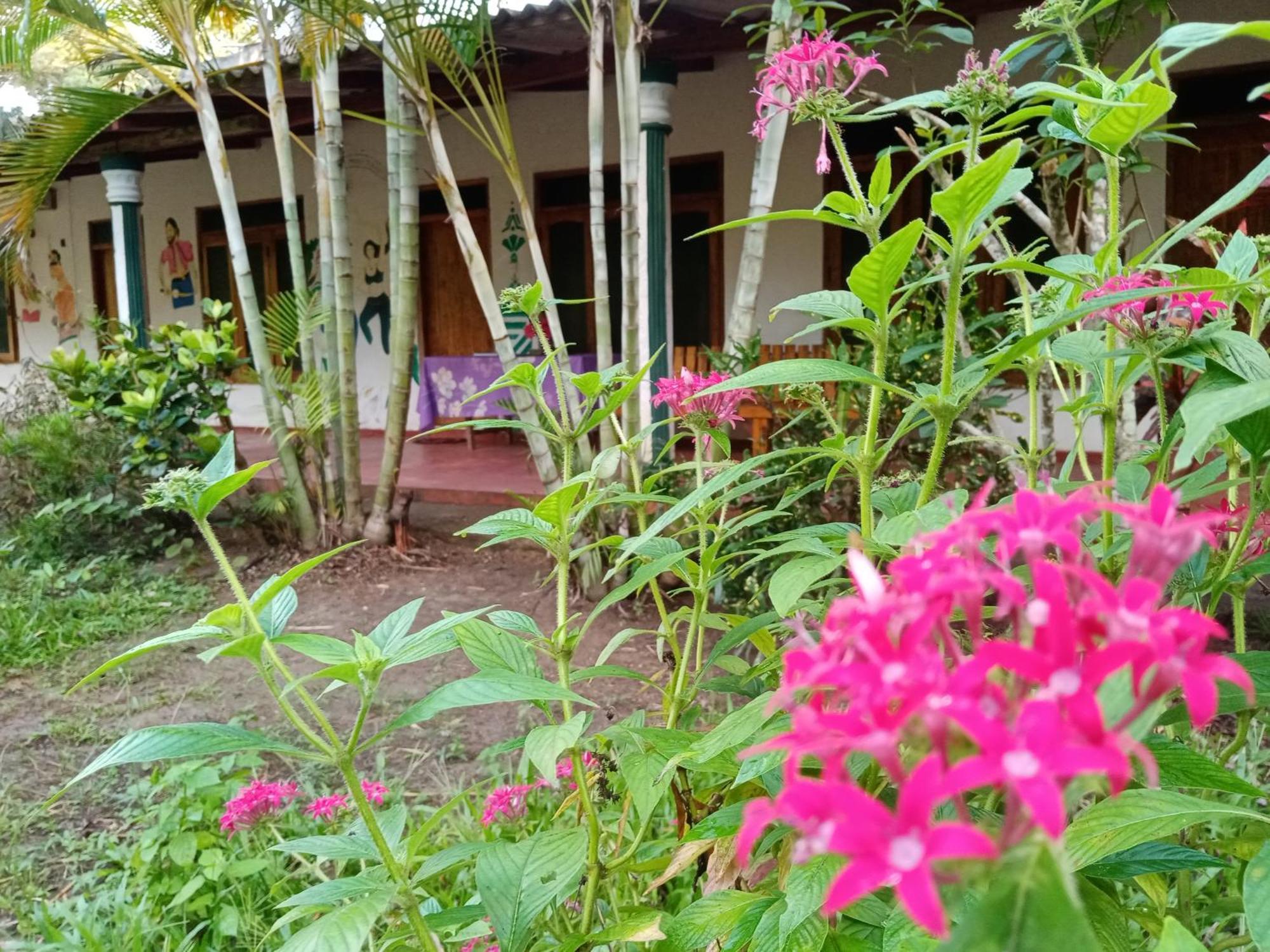 Horizon Resort & Hostel סיגירייה מראה חיצוני תמונה