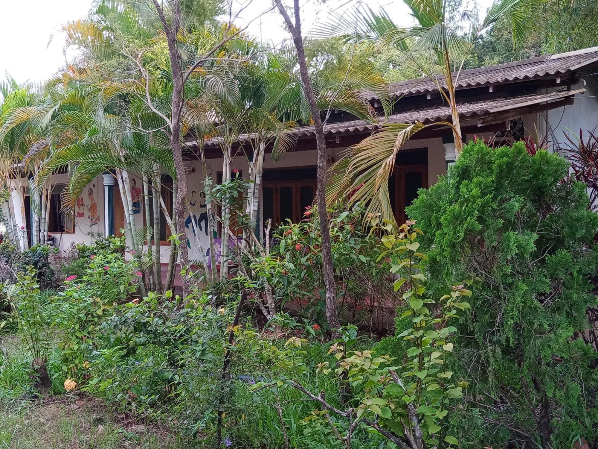 Horizon Resort & Hostel סיגירייה מראה חיצוני תמונה